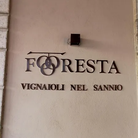 Foresta Vini فندق مبيت وإفطار