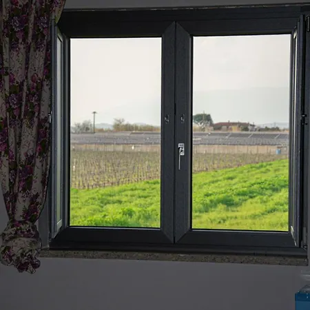 فندق مبيت وإفطار Foresta Vini