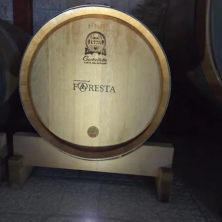 Foresta Vini 3*